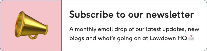 Subscribe to our newsletter | The Lowdown